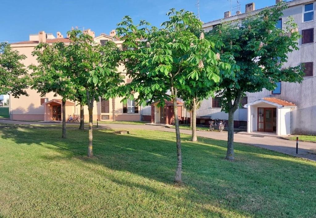 Apartament Stefan 1 Umag Zewnętrze zdjęcie
